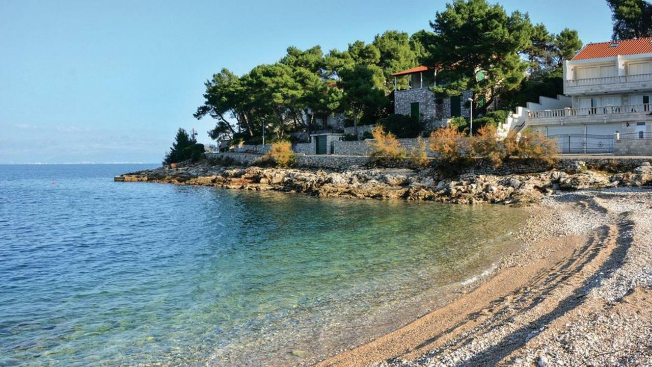 Schoenes Ferienhaus Direkt Am Meer Stomorska Dış mekan fotoğraf